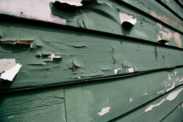 Best Siding Removal and Disposal  in Lan, MI