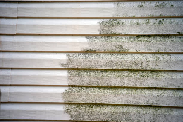 Trusted Milan, MI Siding Installation & Repair Experts