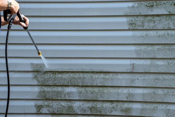 Best Insulated Siding Installation  in Lan, MI