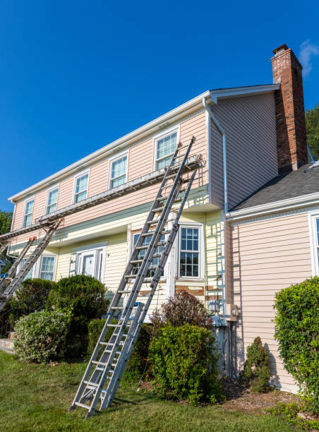 Best Steel Siding Installation  in Lan, MI