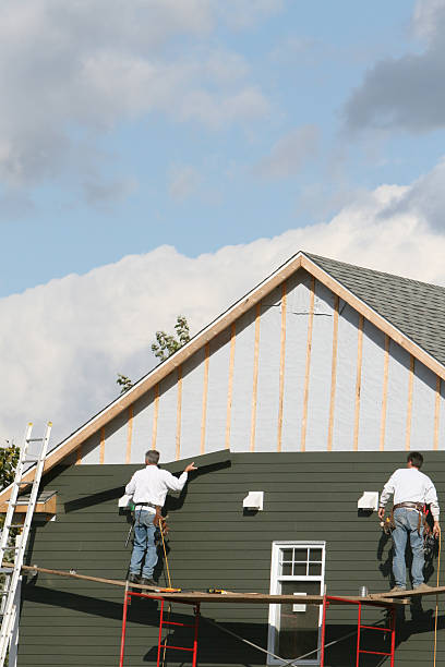 Best Wood Siding Installation  in Lan, MI