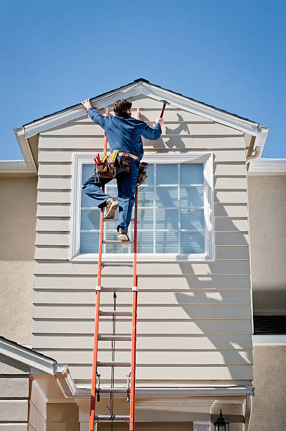 Best Siding Painting and Refinishing  in Lan, MI