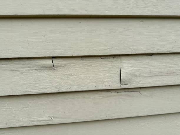 Best Siding for Commercial Buildings  in Lan, MI